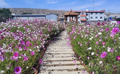 女生一边喘气一边叫疼